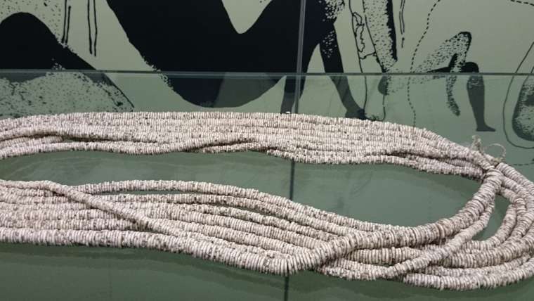 A 50,000-Year-Old Fashion Statement Could Be One of the World’s Oldest Social Networks